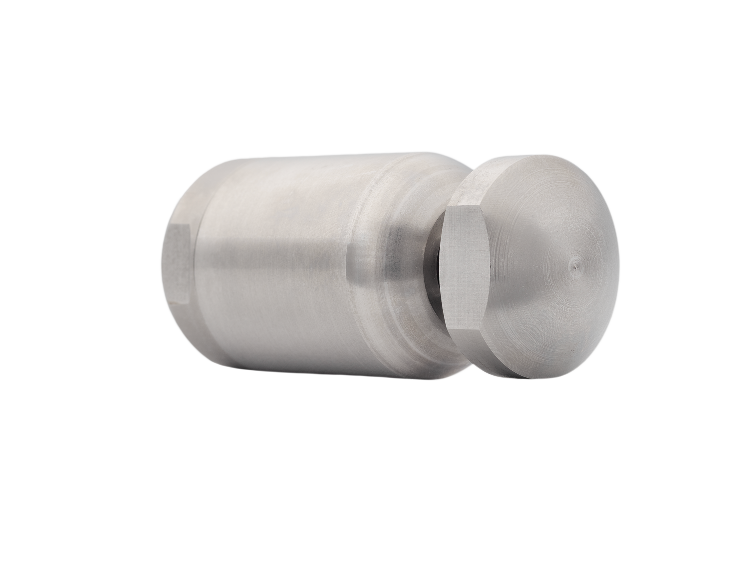 Tarantula 1/4" - Image 2